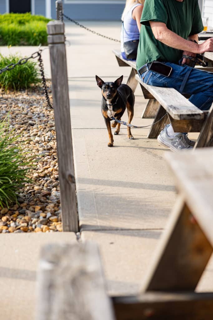 Dundee Restaurants with Outdoor Seating Offer Great Patio Dining